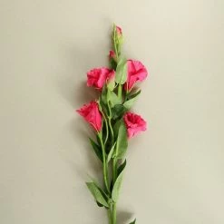 Staunton And Henry Home Accessories Pink Lisianthus Flowers - Set Of 3 Stems