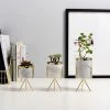 Staunton And Henry Home Accessories Mini Marble Pattern Planter With Gold Stand