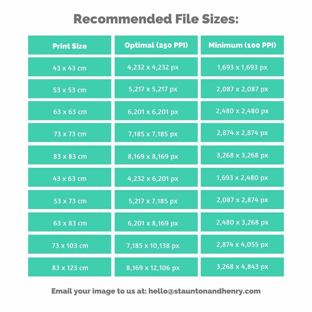 Staunton And Henry Custom Framed Canvas Print Wall Decor