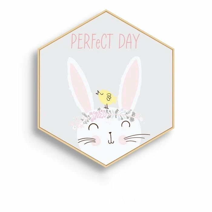 Staunton And Henry Hexagonal Framed Kids Room Prints