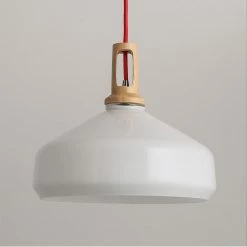 Staunton And Henry Frosted Beaker Pendant Light Lighting