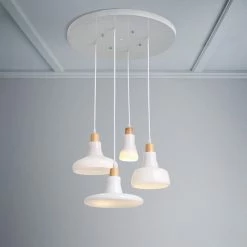 Staunton And Henry Modern Frosted White Pendant Light Set With Ceiling Mount Lighting