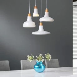 Staunton And Henry Modern Frosted White Pendant Light Set With Ceiling Mount Lighting
