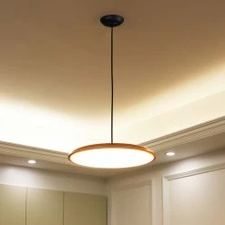 Staunton And Henry Slimline Modern Ceiling Light