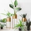 Staunton And Henry Home Accessories Modern Brass Plant Stand