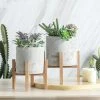 Staunton And Henry Modern Concrete Plant Pot With Wood Stand
