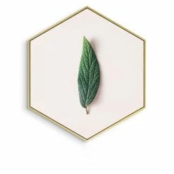 Staunton And Henry Home Accessories Hexagon Green Leaf Wall Art With Frame