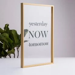 Staunton And Henry Transparent Botanical Wall Art With Frame