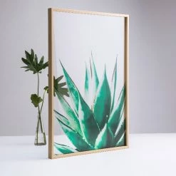 Staunton And Henry Transparent Botanical Wall Art With Frame