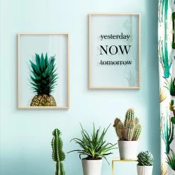 Staunton And Henry Transparent Botanical Wall Art With Frame