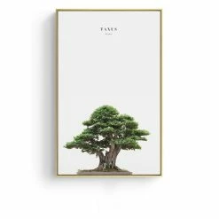 Staunton And Henry Wall Decor Chinese Wall Art With Frame