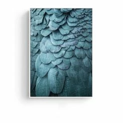 Staunton And Henry Feathers Photographic Wall Art With Frame Wall Decor