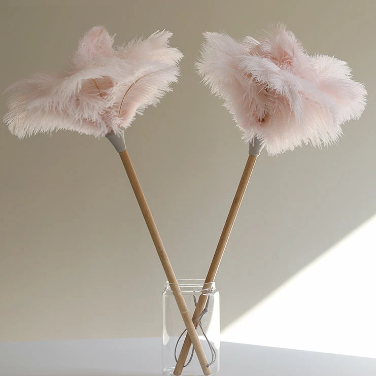 Staunton And Henry Ostrich Feather Duster Home Accessories
