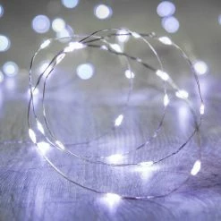 Staunton And Henry Mini LED Fairy Lights With Battery Home Accessories