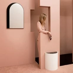 Staunton And Henry Alice Nordic Arch Wall Mirror Wall Decor