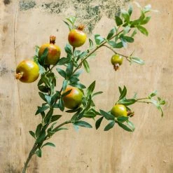 Staunton And Henry Artificial Pomegranate Fruit Plant