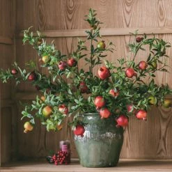 Staunton And Henry Artificial Pomegranate Fruit Plant
