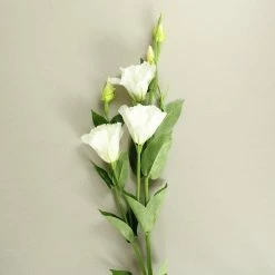 Staunton And Henry White Lisianthus Silk Flowers - Set Of 3 Stems Home Accessories