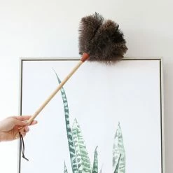 Staunton And Henry Ostrich Feather Duster Home Accessories
