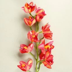 Staunton And Henry Home Accessories Pink Cymbidium Orchid Silk Flowers - Set Of 3 Stems