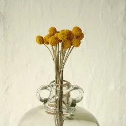 Staunton And Henry Yellow Dried Flowers - Bunch Of 12