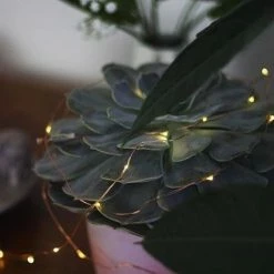 Staunton And Henry Mini LED Fairy Lights With Battery Home Accessories