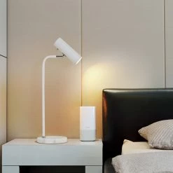 Staunton And Henry Modern Desk Lamp