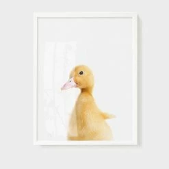 Staunton And Henry Wall Decor Animal Wall Arts For Kids Room